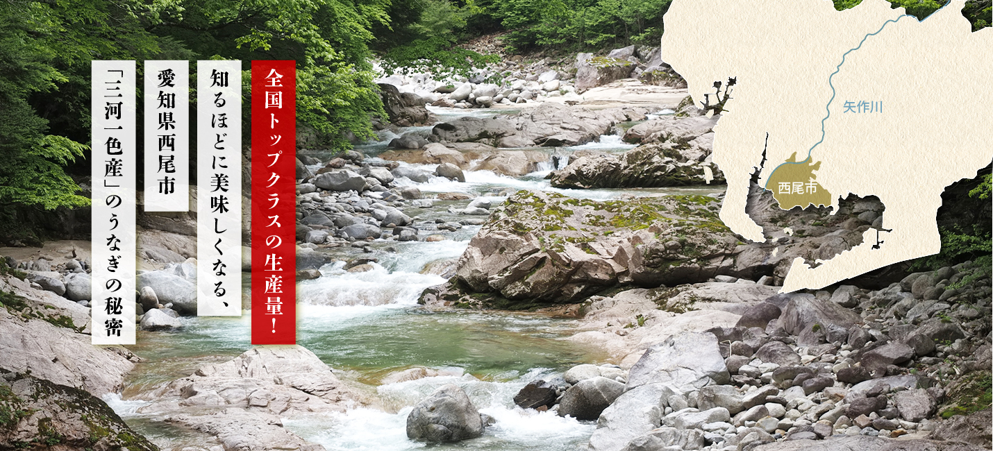三河一色産のうなぎ