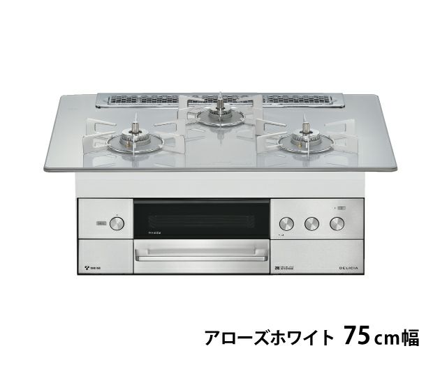デリシア 3V乾電池タイプ(液晶付きタイプ) 東邦ガス（株）製RBC4WNGN93