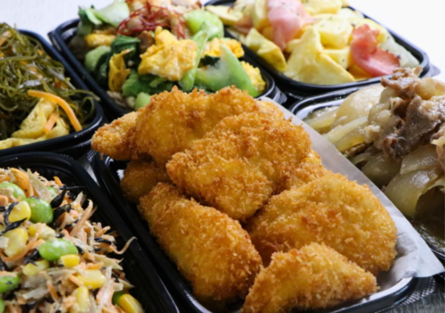 おうちごはん宅配サービス 東邦ガス限定特別お試しプラン（2人前×6品
