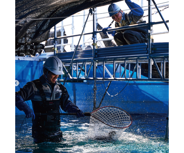 サーモンさん専用 海峡サーモン 熟成ほぐし身3個セット／栗原心平 ごちそうさまOfficial