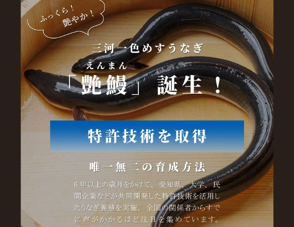 三河一色産 希少めすうなぎ「艶鰻」大サイズ2尾（計400g前後 / 個包装