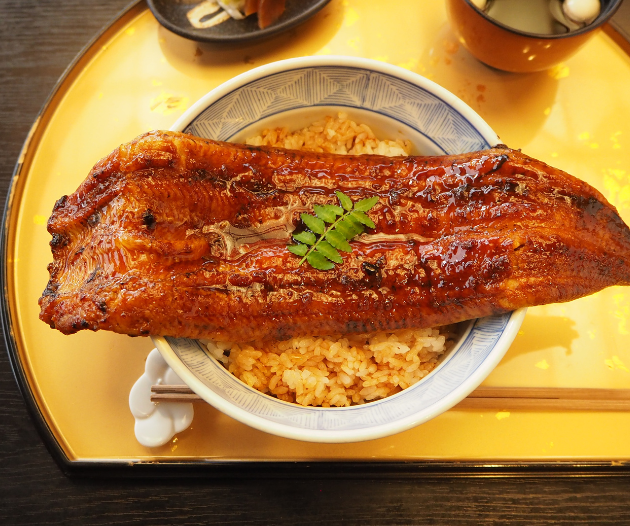 うき 三河一色産 希少めすうなぎ「艶鰻」大サイズ2尾（計400g前後 / 個包装