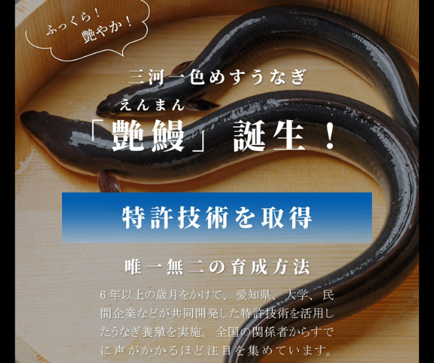 希少】三河一色産 めすうなぎ「艶鰻 -ENMAN-」 大サイズ2尾（約400g