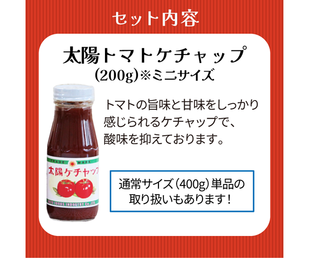 太陽食品工業 とりあえず3点セット（ソース・ケチャップ・スパイス