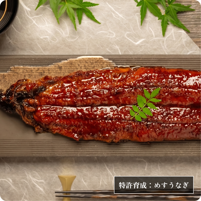 自宅で味わう、贅沢うなぎ特集 | Club TOHOGAS MALL