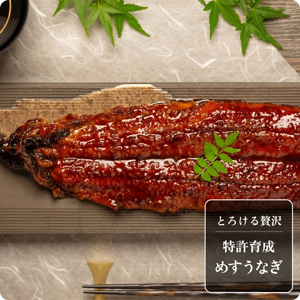 土用丑の日 自宅で味わう、贅沢うなぎ特集 | Club TOHOGAS MALL