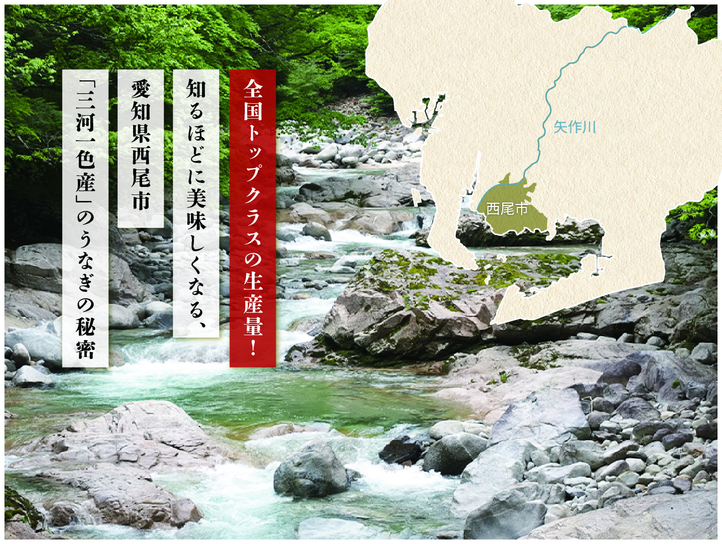 全国トップクラスの生産量！ 知るほどに美味しくなる、 愛知県西尾市「三河一色産」のうなぎの秘密