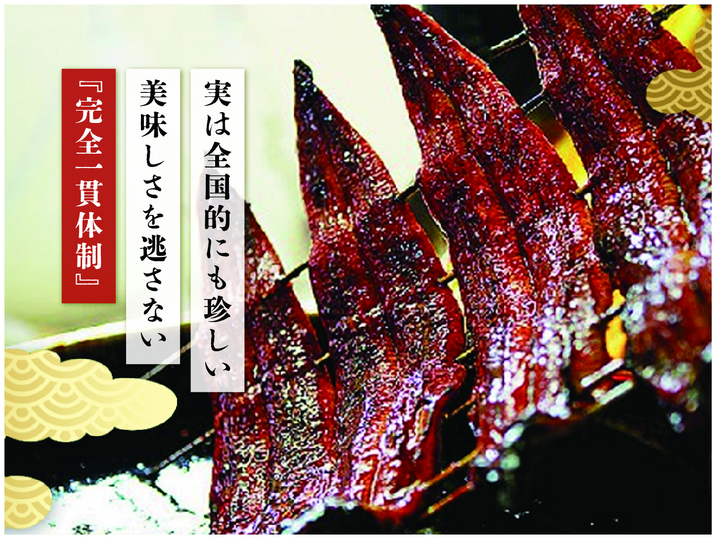 実は全国的にも珍しい！ うなぎの美味しさを逃さない『完全一貫体制』