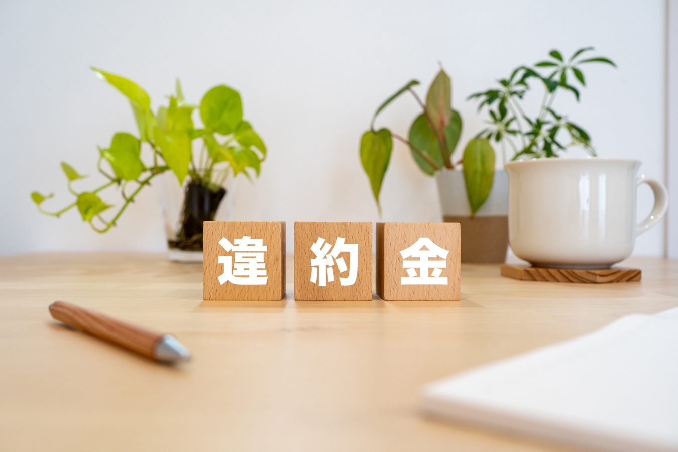 光回線の切り替えがめんどくさいとされる理由